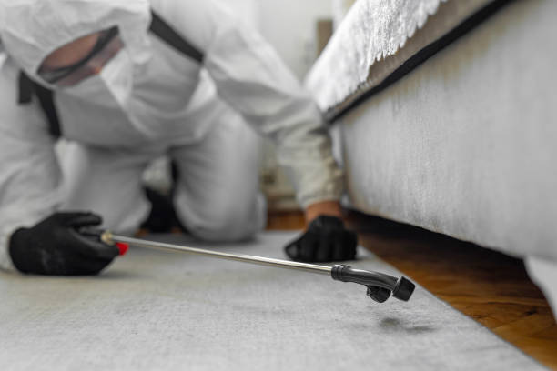 Professional Termite Control technician working in Cottle County County, TX
